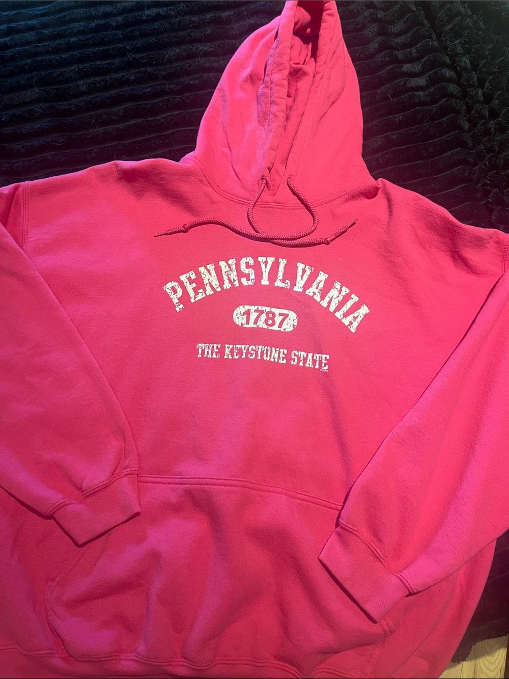 Women's Hot Pink Pennsylvania Graphic Hoodie Sweatshirt